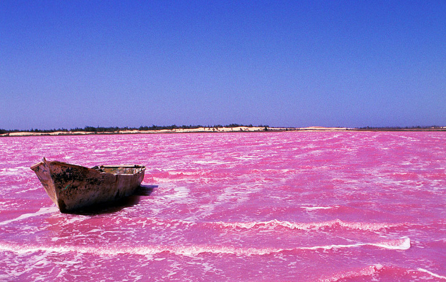 Lac Rose
